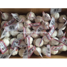 Pure white garlic 3P*80/carton China Jinxiang fresh garlic